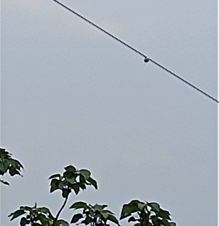 導(dǎo)線弧垂智能在線監(jiān)測(cè)系統(tǒng) 導(dǎo)線弧垂智能在線監(jiān)測(cè)系統(tǒng)